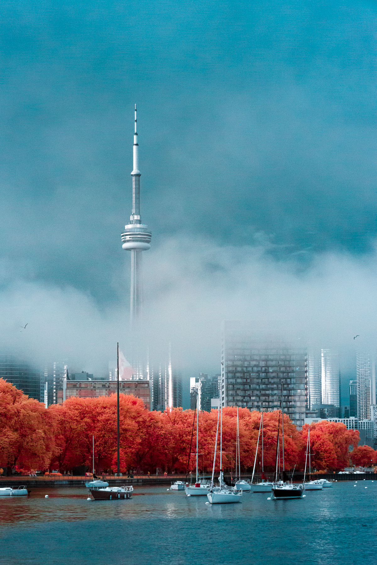 Toronto from Trillium Park. 590nm false color infrared.